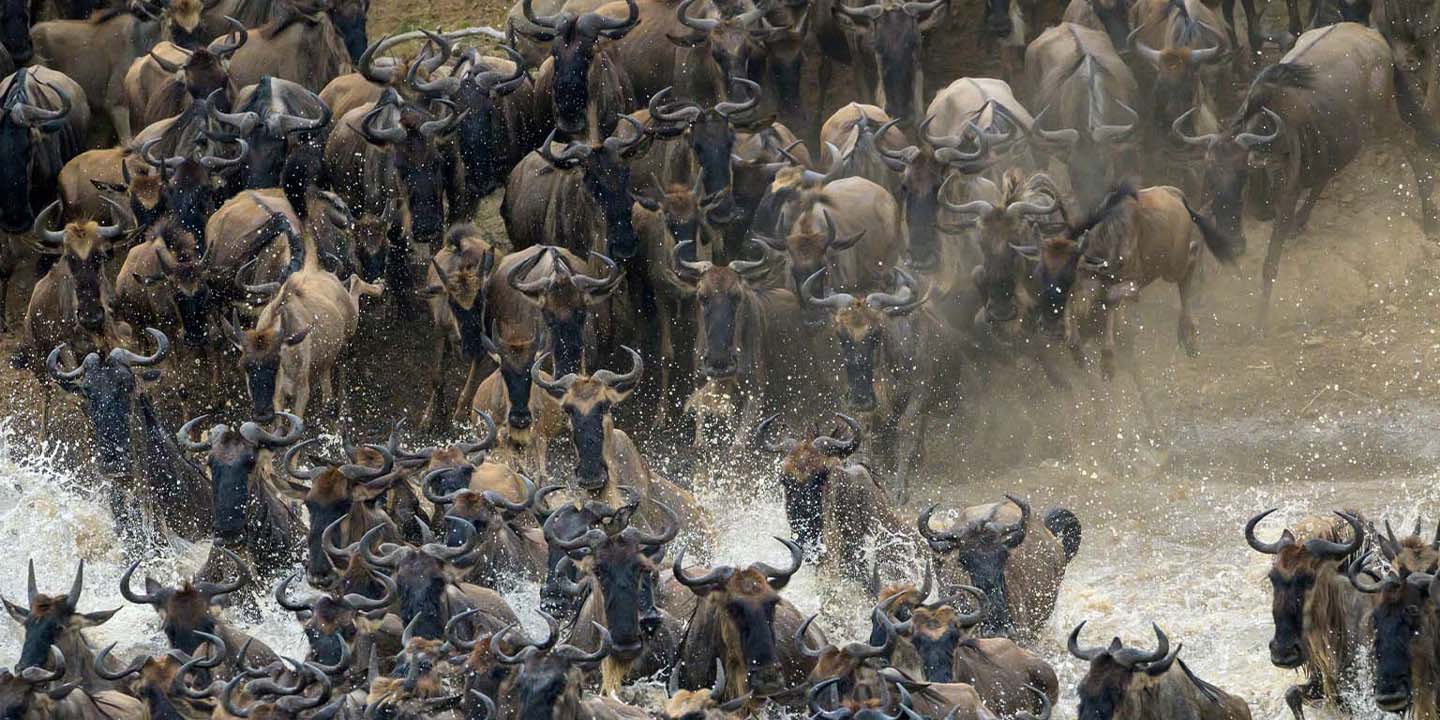 13 Day Great Migration + Zanzibar Beach Safari