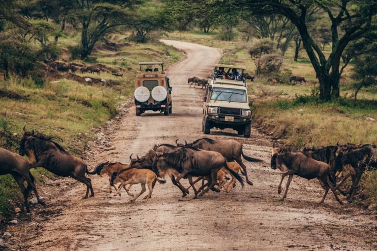 ekGVPu2xdqAxUzki8OSaidA95Y