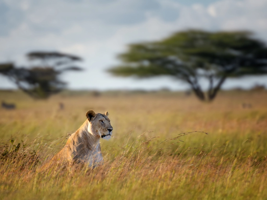 tanzania-travel-itineraries-7